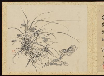 "Kifinomult elegancia a négy évszakban" (Shiji seiga), Album of Flower Paintings alkotó: Baiitsu Yamamoto