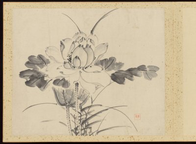 "Kifinomult elegancia a négy évszakban" (Shiji seiga), Album of Flower Paintings alkotó: Baiitsu Yamamoto
