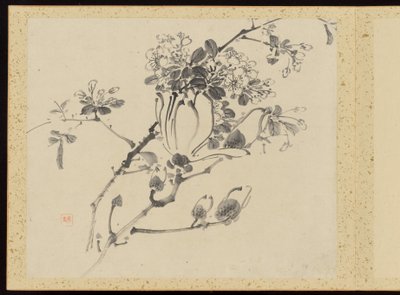"Kifinomult elegancia a négy évszakban" (Shiji seiga), Album of Flower Paintings alkotó: Baiitsu Yamamoto