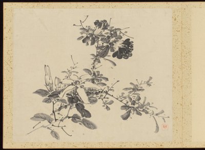 "Kifinomult elegancia a négy évszakban" (Shiji seiga), Album of Flower Paintings alkotó: Baiitsu Yamamoto