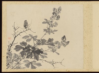 "Kifinomult elegancia a négy évszakban" (Shiji seiga), Album of Flower Paintings alkotó: Baiitsu Yamamoto