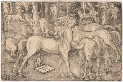 Hét ló csoportja, 1534. alkotó: Baldung