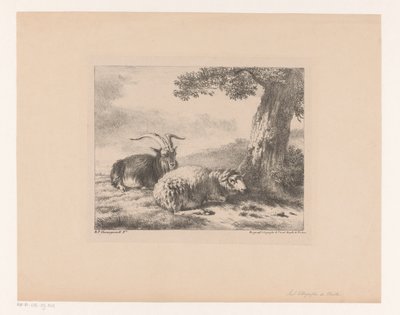 kecske és juh alkotó: Balthasar Paul Ommeganck