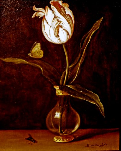 Egyetlen tulipán egy vázában alkotó: Balthasar van der Ast