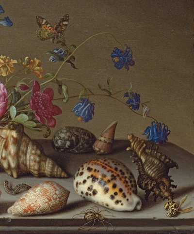 Virágok, kagylók és rovarok egy kőpárkányon alkotó: Balthasar van der Ast