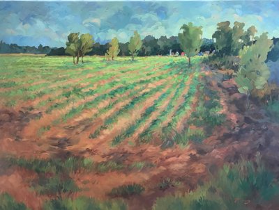 Kora reggel, 1980-2000 körül (olaj, vászon) alkotó: Barbara Cleary