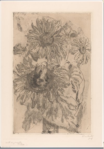 Három napraforgó egy vázában alkotó: Barbara Elisabeth van Houten (signed by artist)
