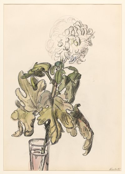 Virágzó krizantém, vázában alkotó: Barbara Elisabeth van Houten
