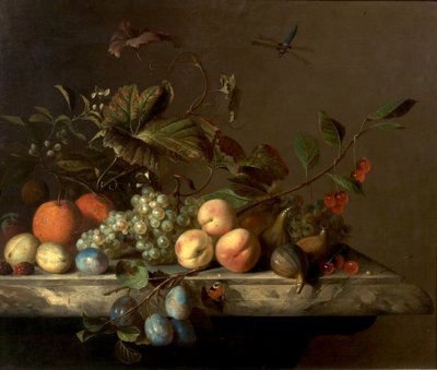 Gyümölcsdarab szitakötővel, 1692 alkotó: Barend or Bernardus van der Meer
