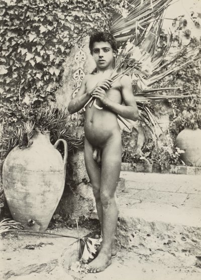 [Fiú a kertben] alkotó: Baron Wilhelm von Gloeden