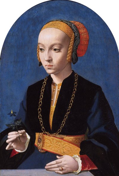 Elisabeth Bellinghausen portréja (1520-gt; 1570 körül) alkotó: Bartholomaeus Bruyn the Elder