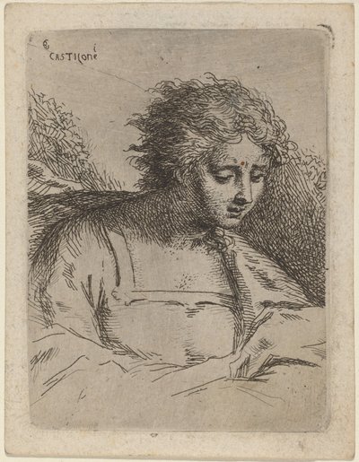 Félhosszú ábrák olvasása alkotó: Bartholomäus Ignaz Weiss