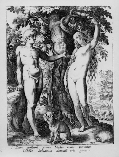 Ádám és Éva, Hendrik Goltzius metszete, 1585 alkotó: Bartholomaeus Spranger