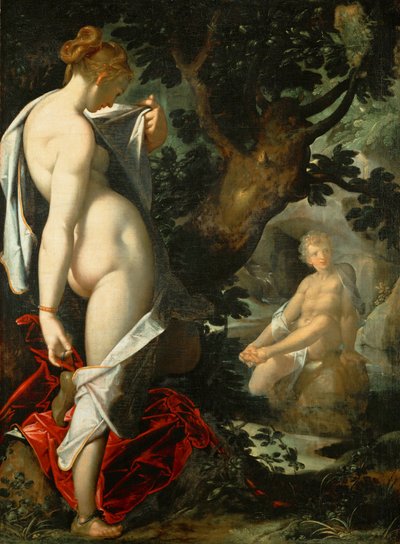 Német: Hermaphroditus und die Nymphe Salmacis Hermaphroditus és a nimfa Salmacis alkotó: Bartholomeus Spranger
