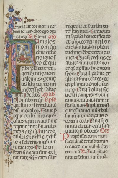 Missale: Fol. 306: Szűz mennybemenetele, 1469. alkotó: Bartolomeo Caporali