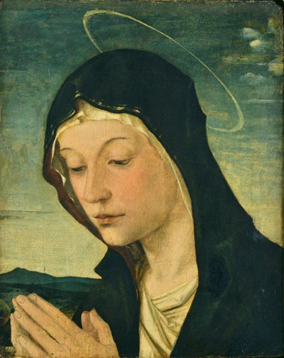 Egy imádó Madonna feje és kezei (töredék), 1477-78 körül (tempera, nyárfa) alkotó: Bartolomeo Montagna