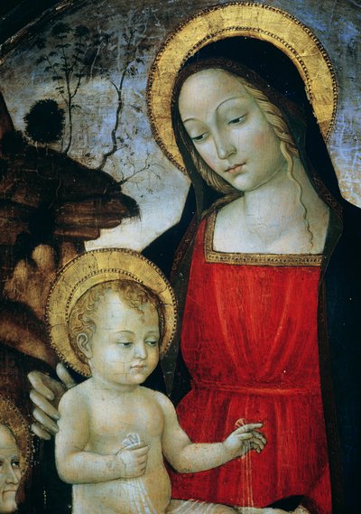 Madonna és gyermeke (részlet) alkotó: Bartolomeo Montagna