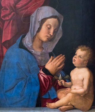 Madonna és gyermek, 1503 körül (olaj, falemez) alkotó: Bartolomeo Montagna