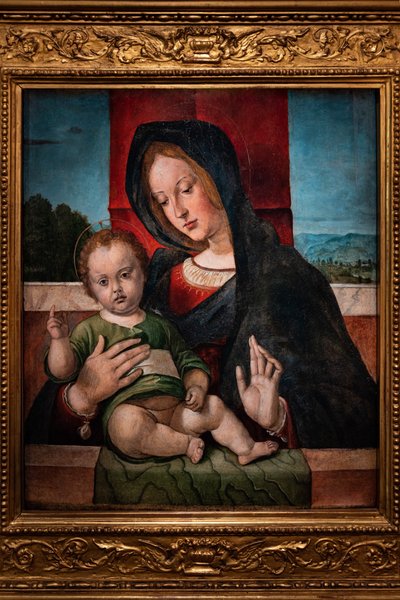 Madonna kis Jézussal, a 15. század utolsó évtizede (olaj, tábla) alkotó: Bartolomeo Montagna