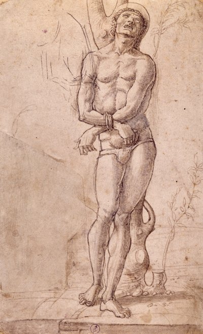Szent Sebestyén, kb 1475, Bartolomeo Montagna (kb. 1450-1523) rajza, toll és barna tus, barna mosással, 20x15 cm, Olaszország alkotó: Bartolomeo Montagna