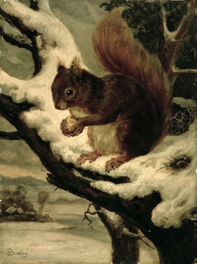 Egy diót evő vörös mókus (olaj malomdeszkán) alkotó: Basil Bradley