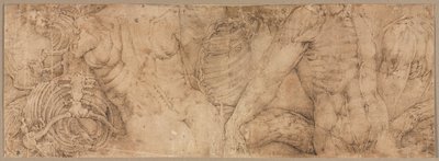Torzók bordaketrecekkel, 1540-es évek eleje. alkotó: Battista Franco
