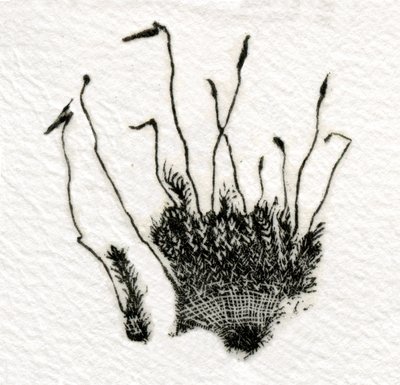 Bimbózó Moha, 2014, (fametszet gampira) alkotó: Bella Larsson