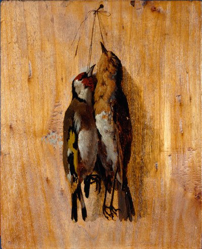 A természet utáni tanulmányozása Két döglött madár gombostű a falon. Benedetto Musso (1835-1883) festménye 1864 körül V. 20,5x16,5 cm-es gének, Galleria d