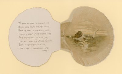 Illusztráció a Tengeri kagylók című füzethez (színes litó) alkotó: Benjamin D. Sigmund
