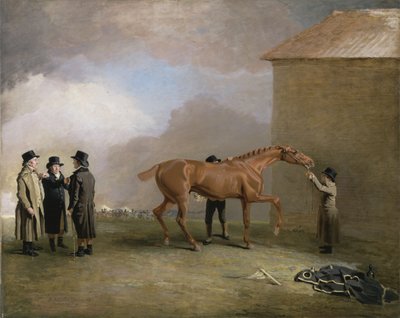 Muly Moloch, a Newmarket Heath-en dörzsölt gesztenyecsikó, bal oldalon Trotter, Hardy és Thompson portréival (olaj, vászon) alkotó: Benjamin Marshall