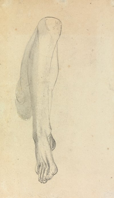 Egy láb anatómiai vizsgálata alkotó: Benjamin Robert Haydon