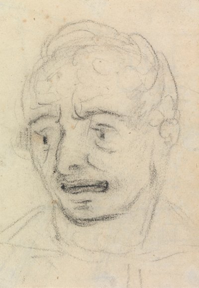 Portré tanulmány egy férfi arckifejezéséről alkotó: Benjamin Robert Haydon