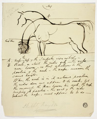 Ló vázlata jelölésekkel alkotó: Benjamin Robert Haydon