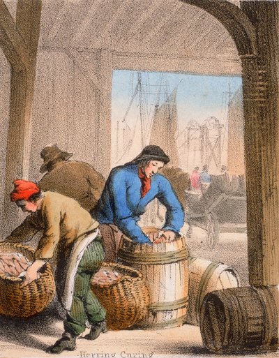 Hering Pácolás, c1845 alkotó: Benjamin Waterhouse Hawkins