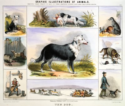 A kutya, c1850 alkotó: Benjamin Waterhouse Hawkins