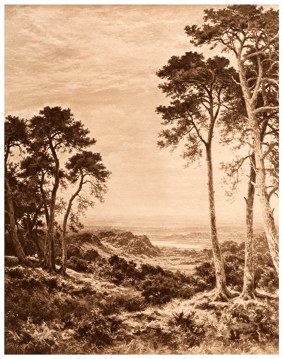 Naplemente eső után, 1903 alkotó: Benjamin Williams Leader