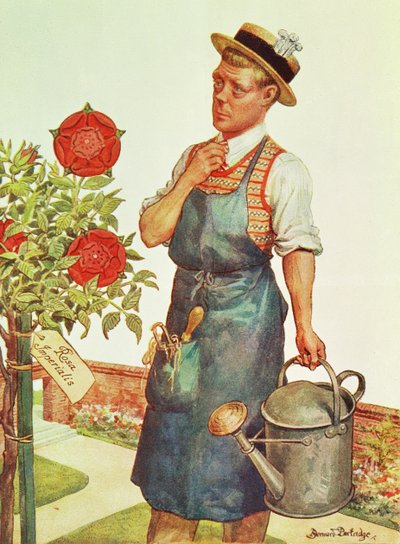 Walesi herceg, később VIII. Edward (nyomtatás) alkotó: Bernard Partridge