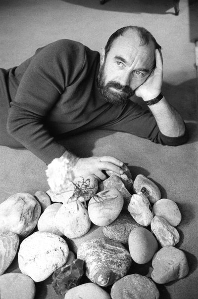 Bernard PARMEGIANI alkotó: Bernard Perrine