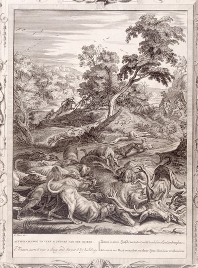 Actaeon szarvassá változott és felfalták a kutyái, 1731 alkotó: Bernard Picart