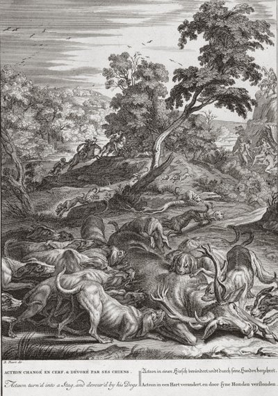 Actaeon szarvasbikává változott, és felfalták a kutyái, 1731 alkotó: Bernard Picart