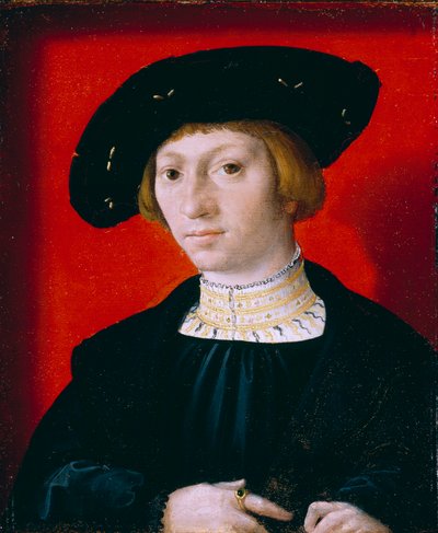 Egy fiatalember alkotó: Bernard van Orley