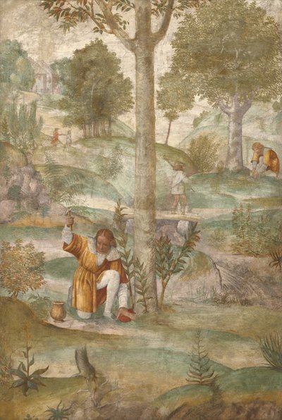 Kephalos elrejti az ékszereket alkotó: Bernardino Luini