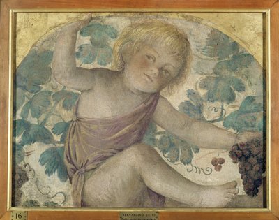 Betakarító putti – Puttó egy lugas alatt, 1514 körül (a fedélzeten hordott leválasztott freskó) alkotó: Bernardino Luini
