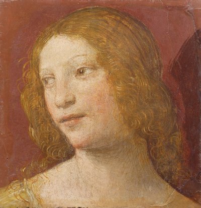 Egy fiatal nő feje alkotó: Bernardino Luini