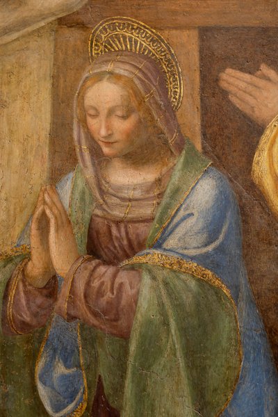 Születés és a pásztorok imádása, c. 1520-1525. Részlet (olaj a panelen) alkotó: Bernardino Luini