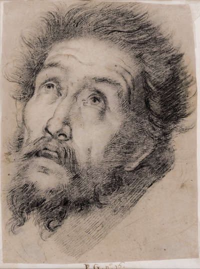 Tanulmány Assisi Szent Ferencnek a keresztet imádva alkotó: Bernardo Strozzi
