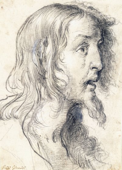 Krisztus feje profilban jobbra, alkotó: Bernardo Strozzi