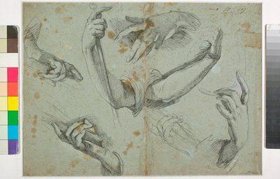 Ismeretlen kép alkotó: Bernardo Strozzi