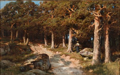 Nő az erdőben alkotó: Berndt Lindholm
