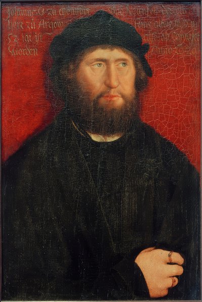 Johann I. Montfort-Rothenfels grófjának portréja alkotó: Bernhard Strigel